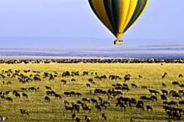 About Us 3 balloon safari